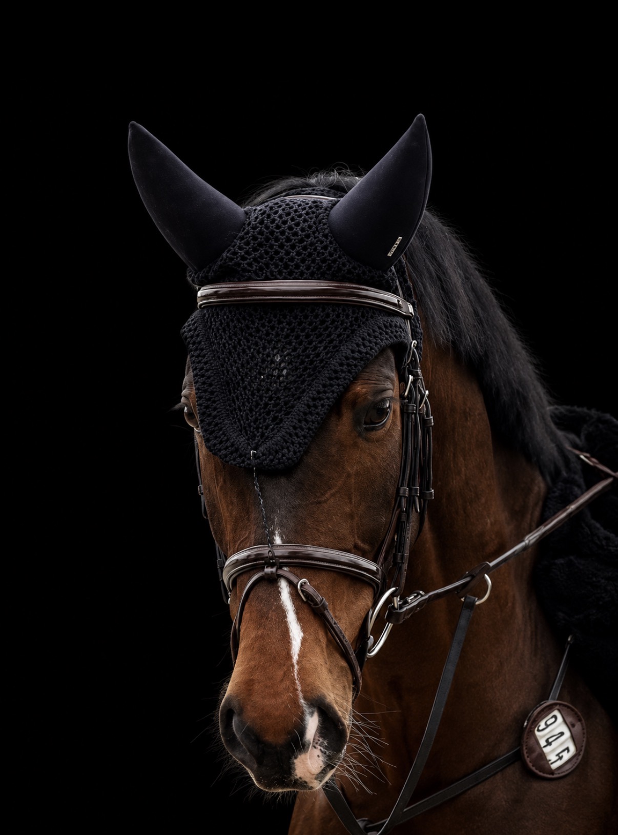 Soulful — Stapley Lodge show jumping horse portrait