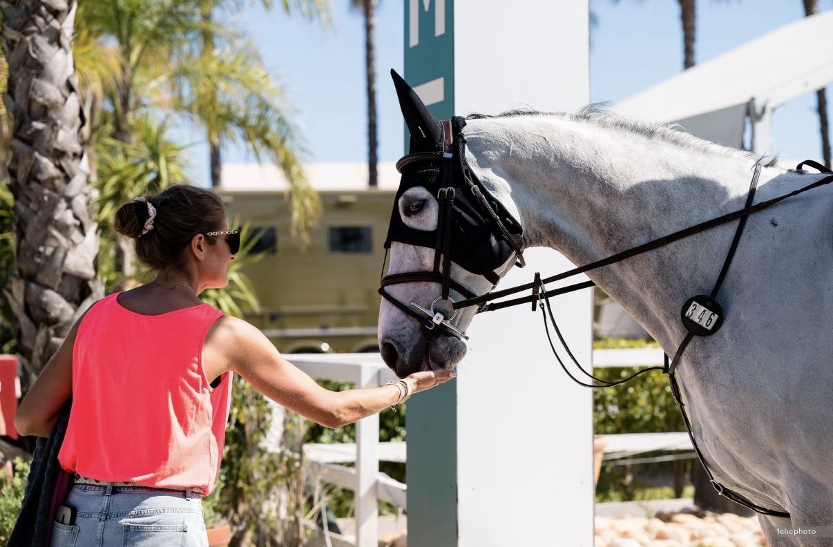 Groom caring for a Stapley Lodge show jumping horse